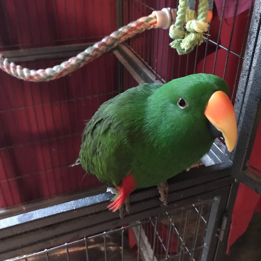 Meet your Posher, Laura